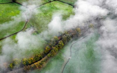 Medio Ambiente Agrario y Economía Circular